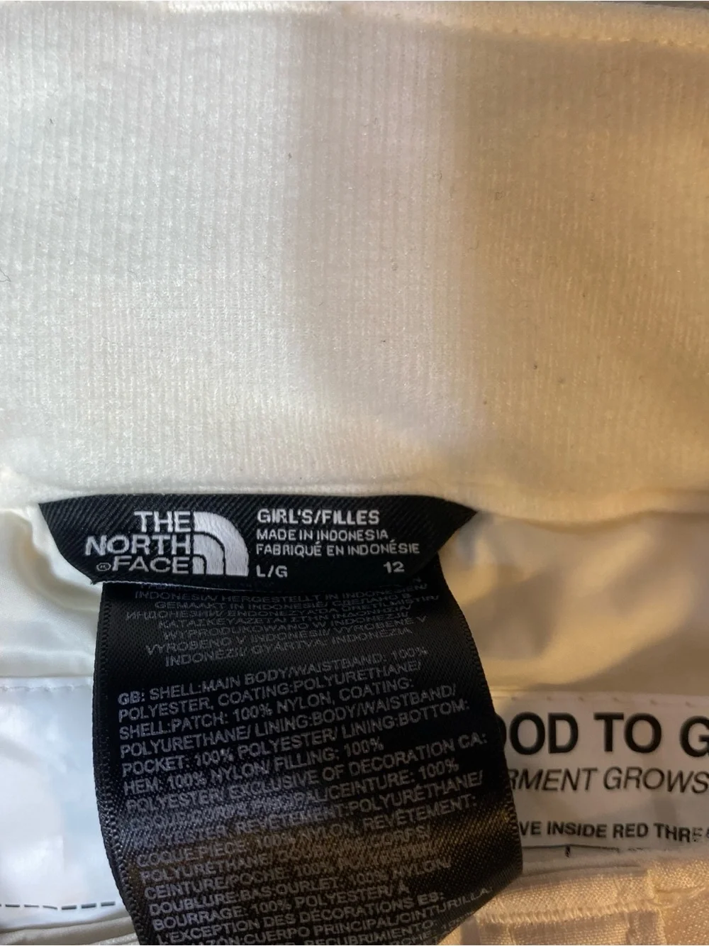 NWT The North Face Girls Freedom Insulated Ski Snowboard Pants White L